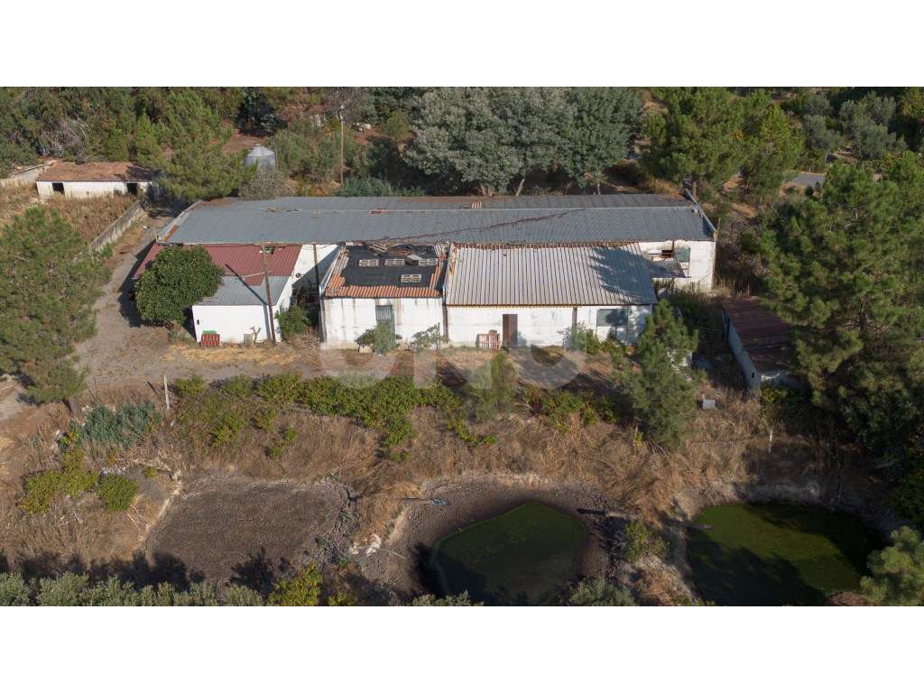 Oportunidade Única - Quinta Agropecuária na Beira Interior - Grande imagem: 4/20