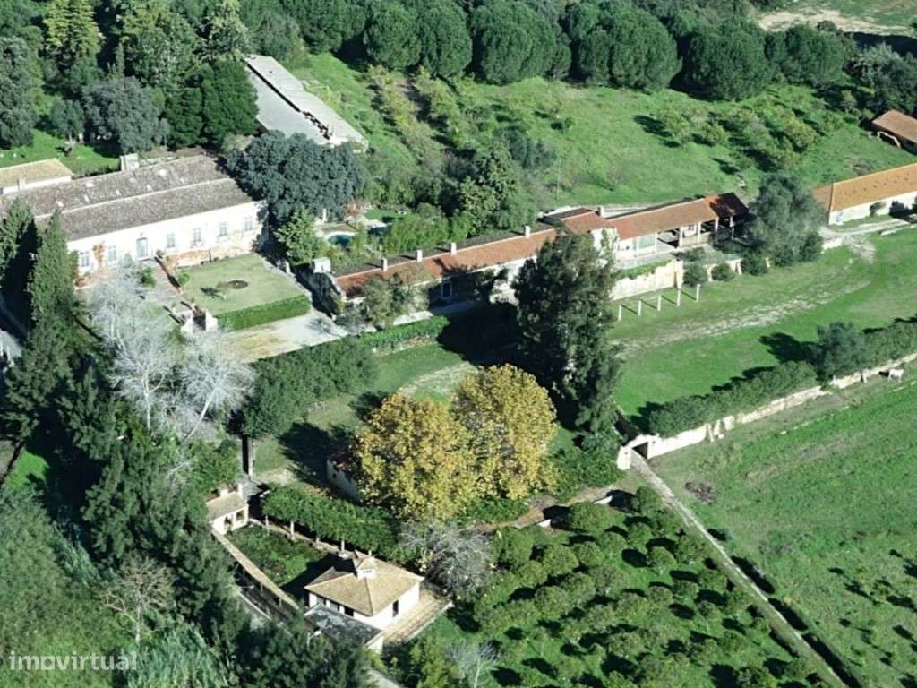 Quinta antiga, 13 ha, Investimento, Setúbal - Grande imagem: 3/39