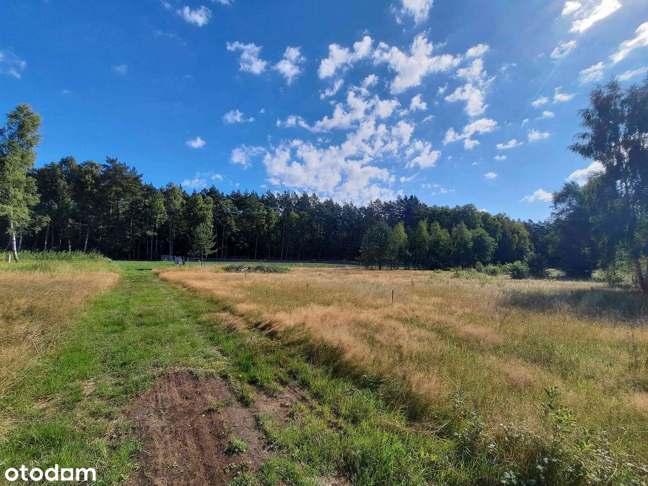 Działka budowlana koło Goleniowa - 3220m2 - Pełny obrazek: 5/7