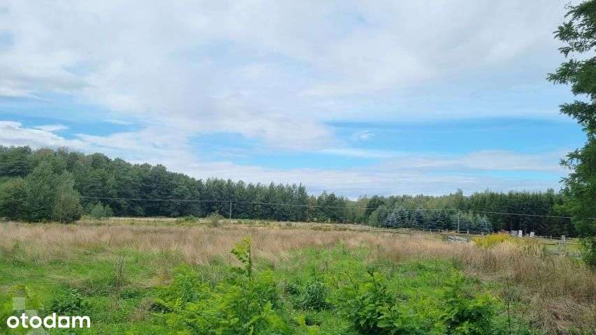 kompleks działek budowlanych pod Mszczonowem-12