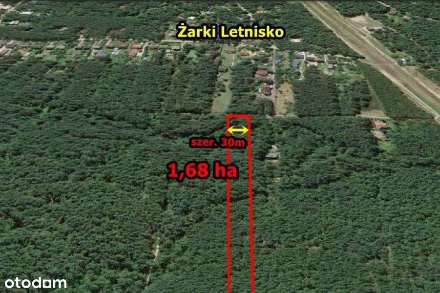 Działka leśno-rekreacyjna 16800 m2 -  Żarki Letniko - Pełny obrazek: 5/9