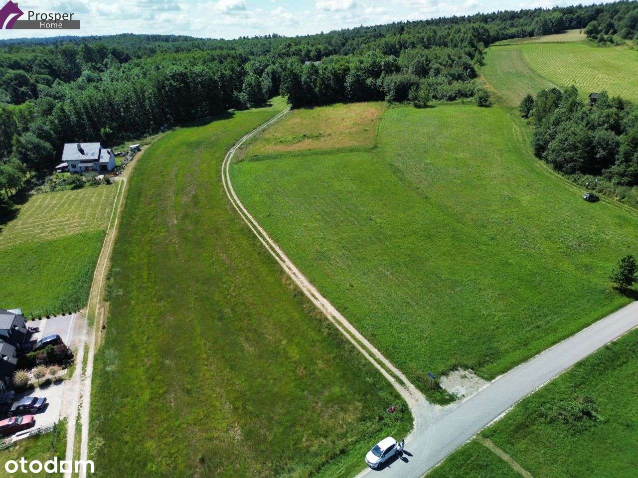 Działka z Wz 13a• Widokowa • Mogielnica - Pełny obrazek: 5/9