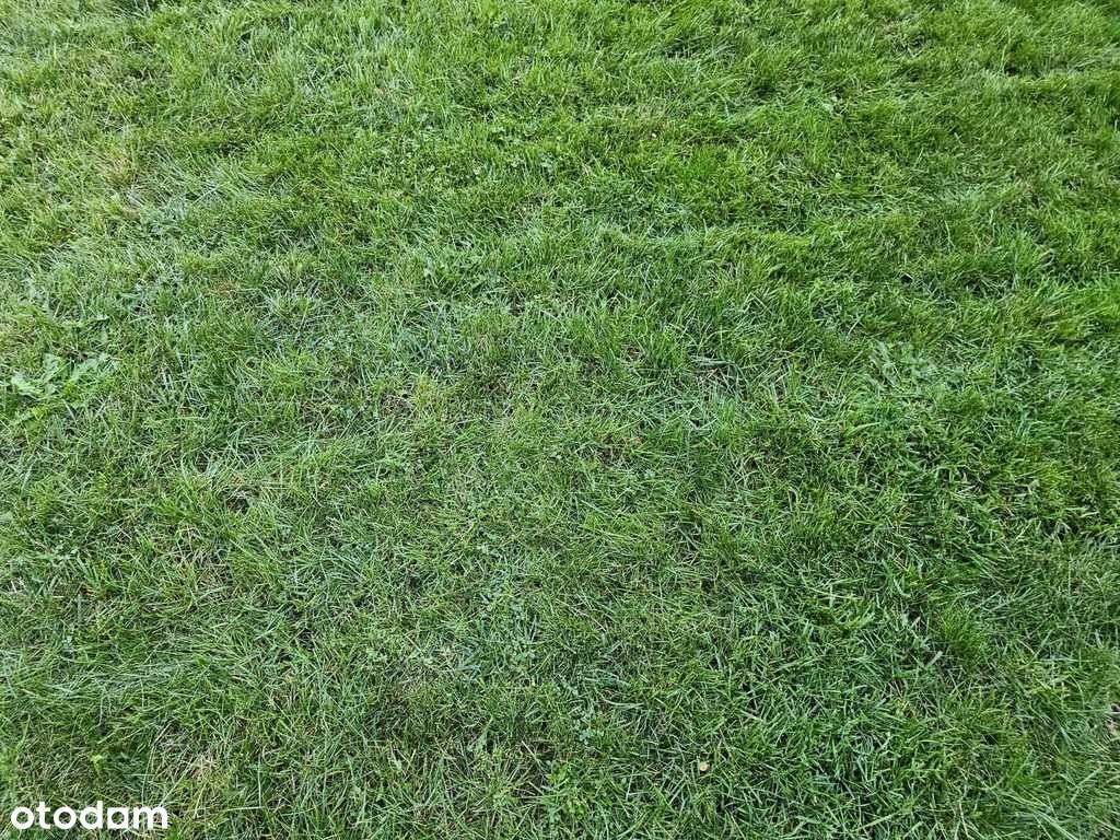 Mpzp Załatwione dokumenty do zakupu Media !-1