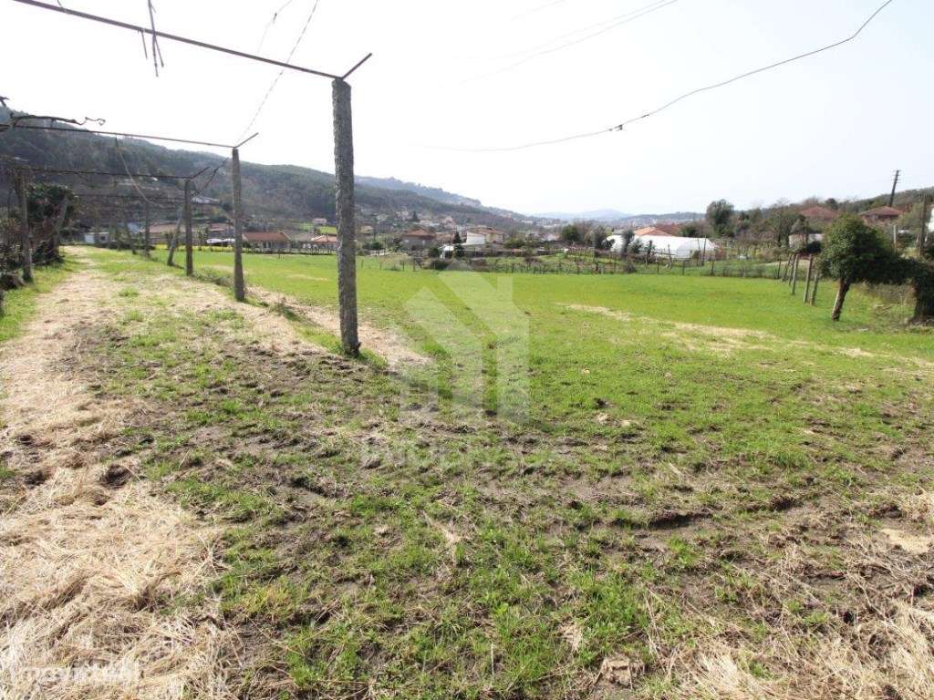 Venda Terreno com possibilidade de Lotear, em S. Mamede (Este), Braga-27