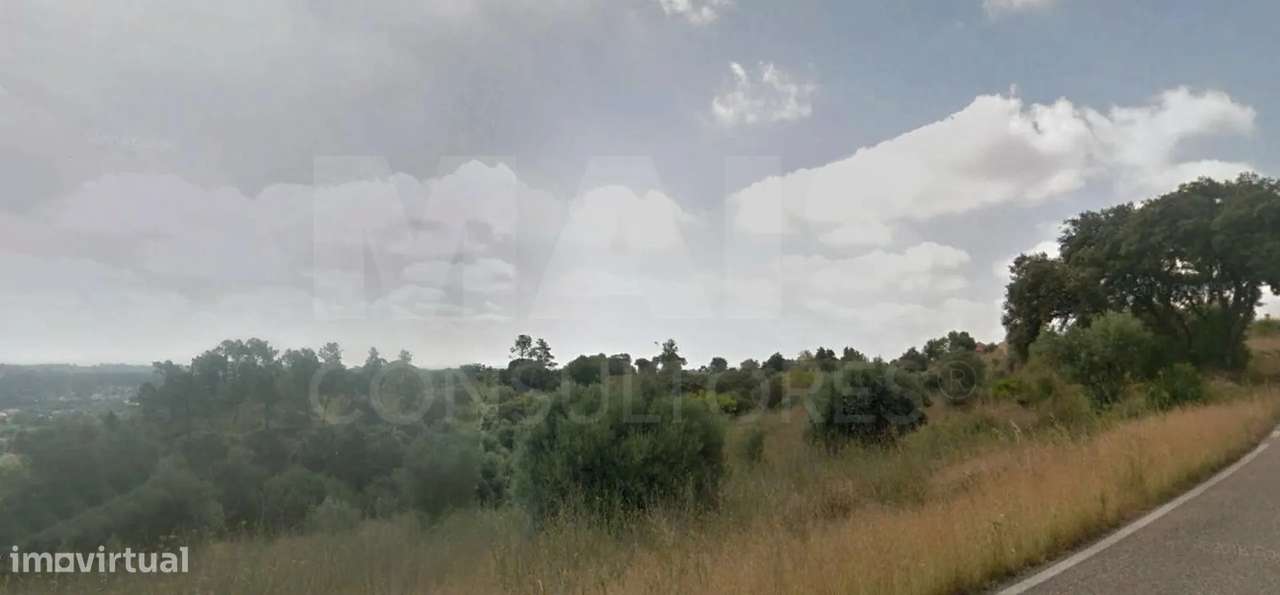 Terreno Rústico arborizado zona de POUSOS - Grande imagem: 4/5