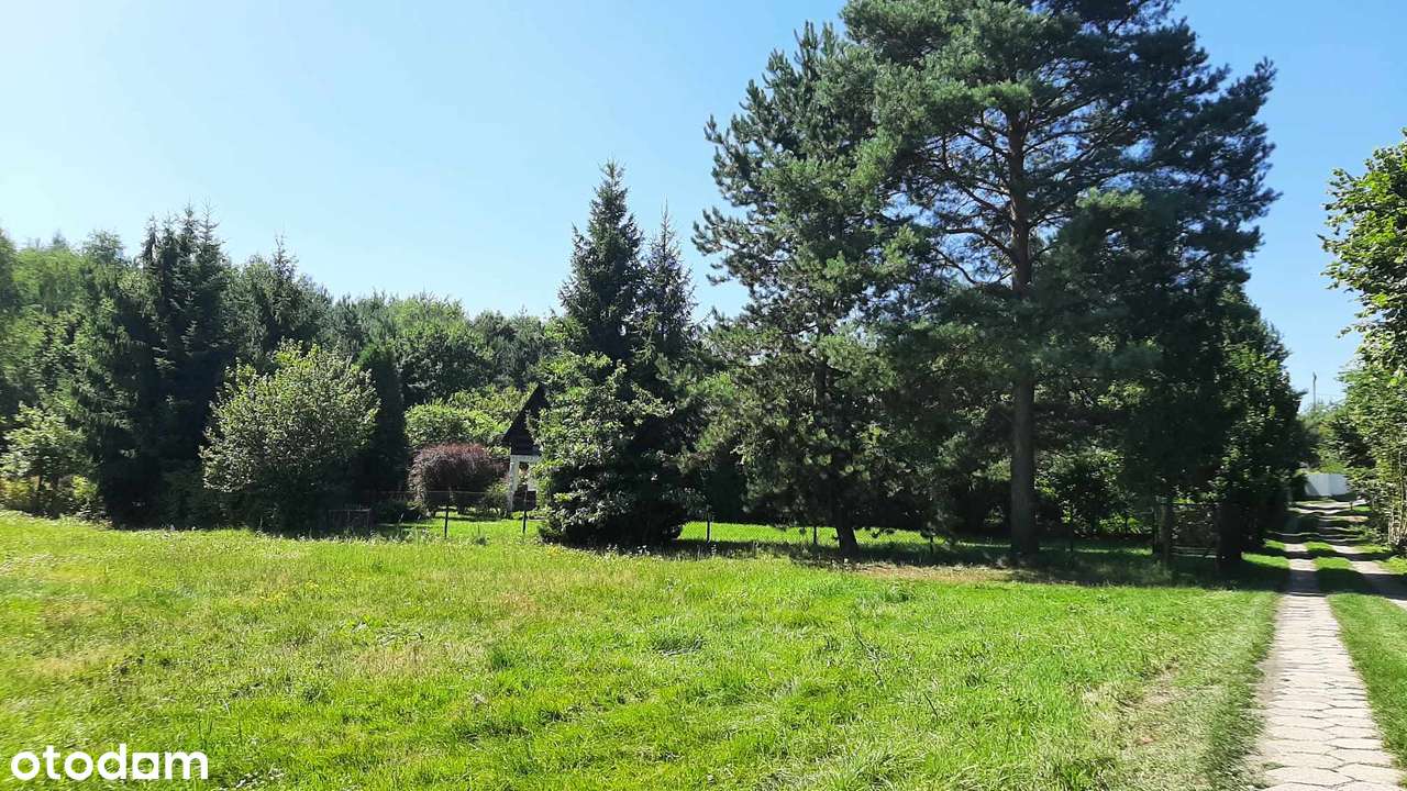 Syndyk sprzeda - 1/6 udziału - Pełny obrazek: 5/6