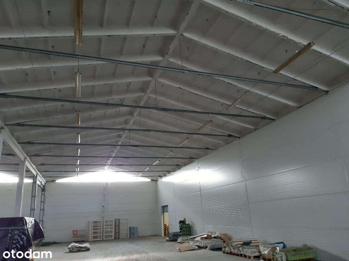 Wynajmę halę magazynową 860 m2 - Pełny obrazek: 5/8