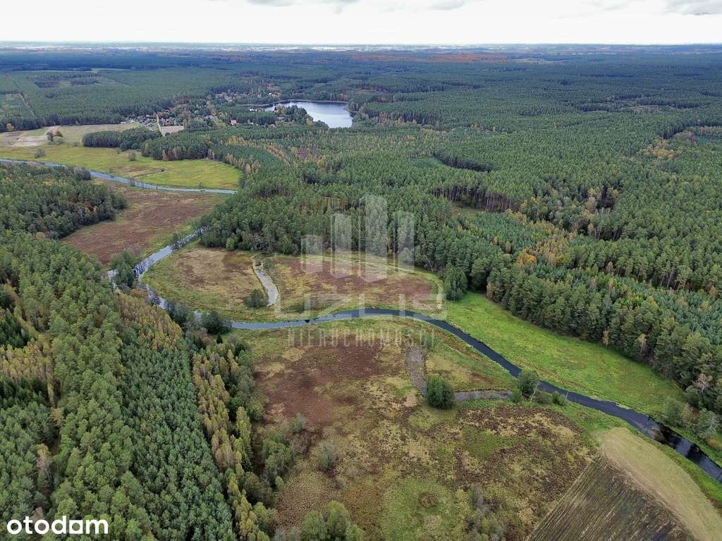 Działki po dwóch stronach brzegu rzeki Wdy - Pełny obrazek: 5/10