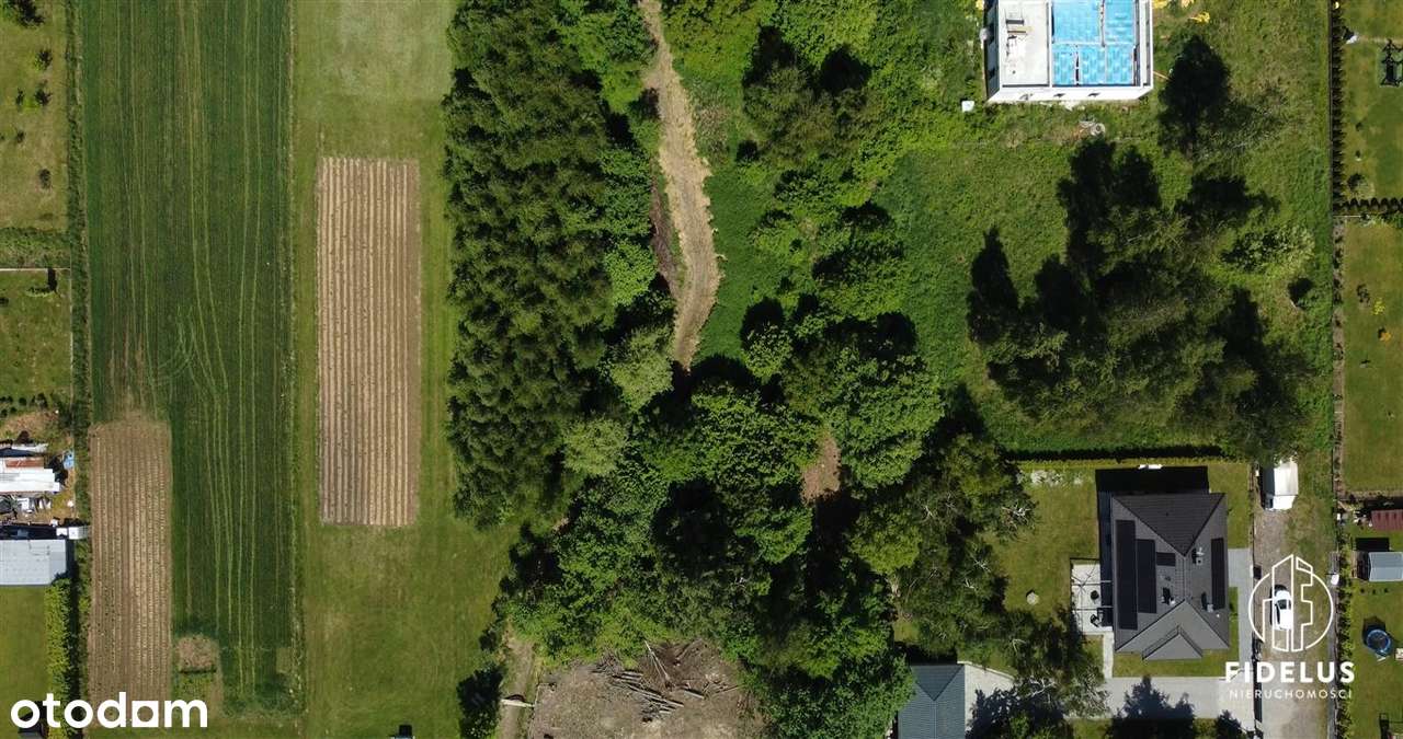 Działka budowlano-rolna z pozostałościami budynku - Pełny obrazek: 5/6