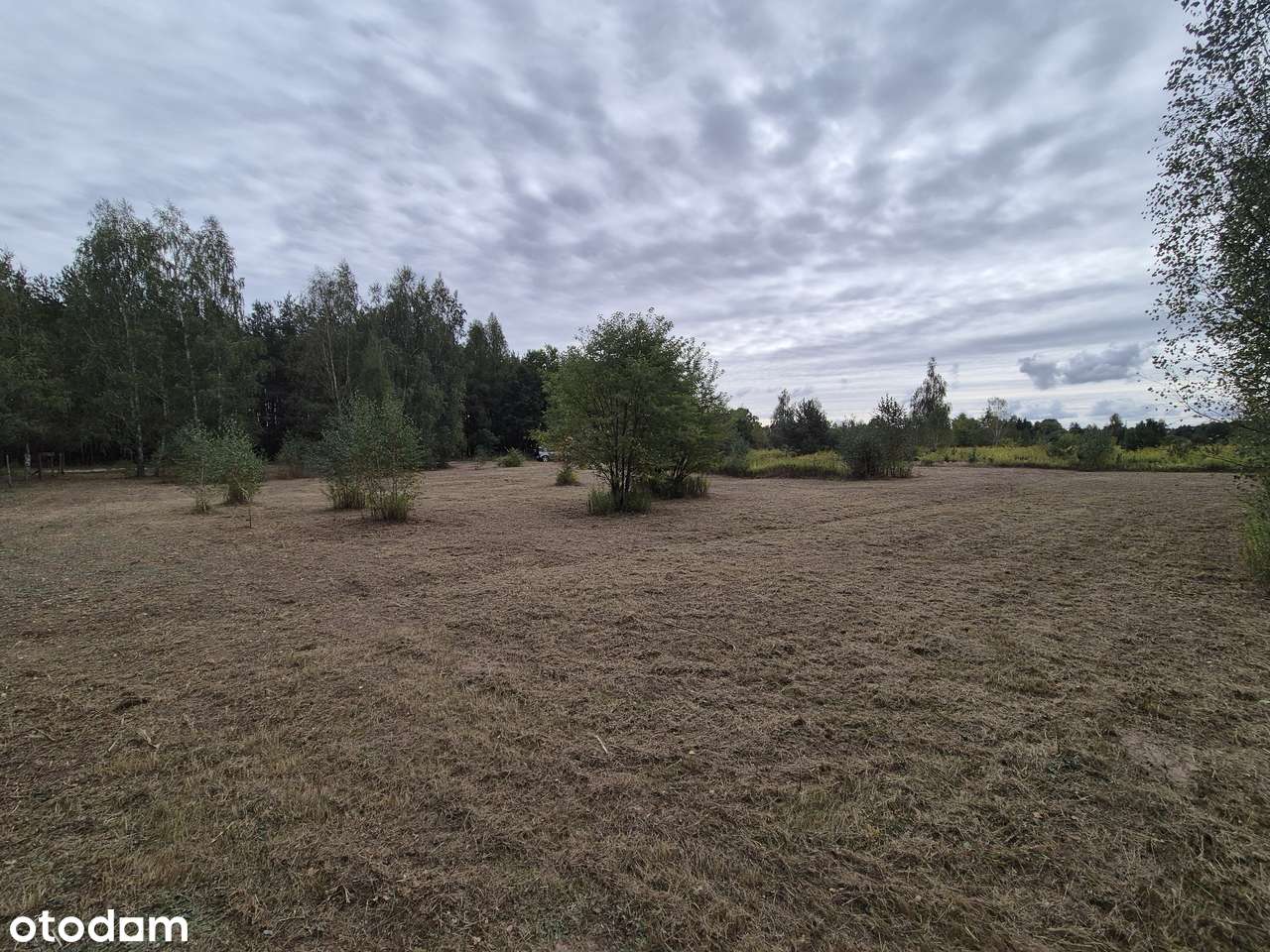 Eksluzywna lokalizacja!!! 3000 m2 przy Kampinowskim Parku Narodowym - Pełny obrazek: 5/9