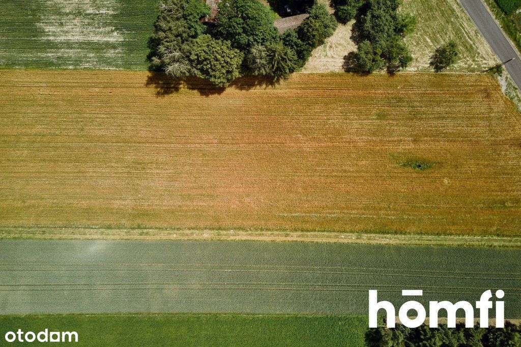 Piękna działka w pobliżu Krasnegostawu - Pełny obrazek: 4/16