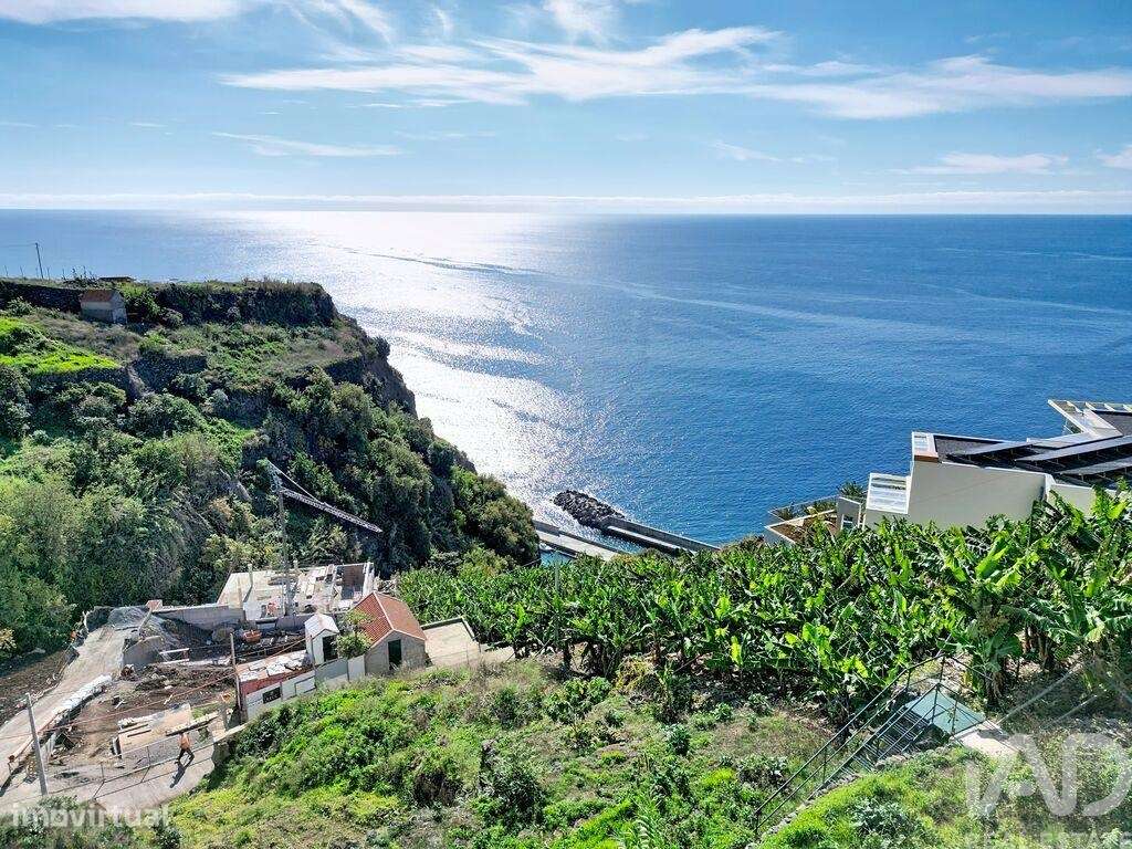 Terreno para construção em Calheta - Grande imagem: 4/14