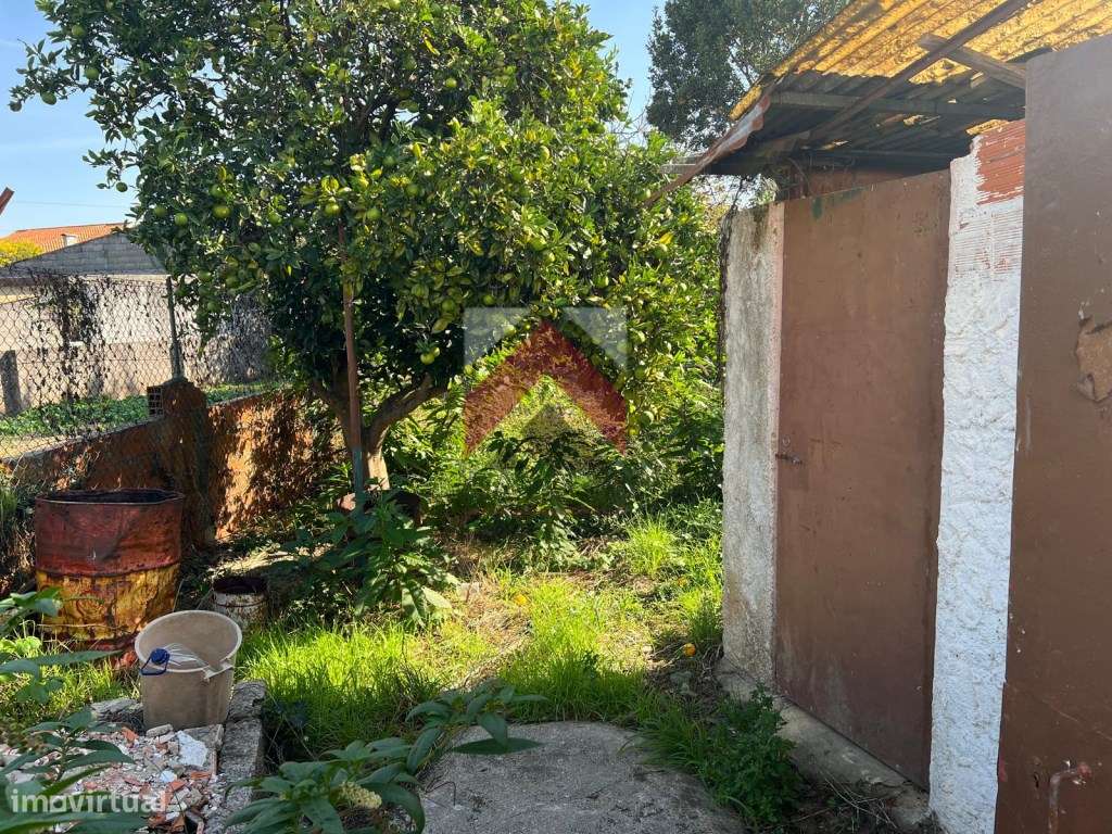 Andar Moradia T3 totalmente renovado no centro de Ílhavo-16
