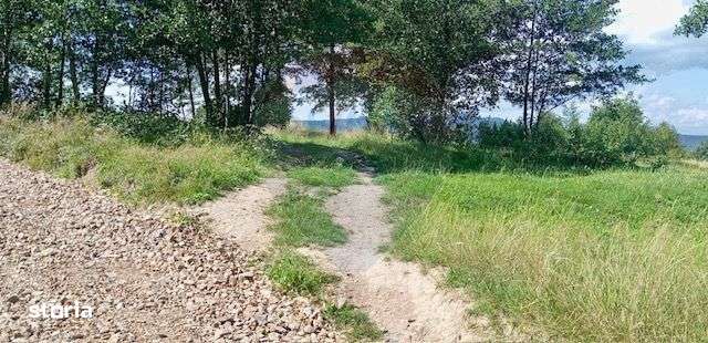 Teren 1,915mp Breb / Drumul Principal - Imagine principală: 5/5