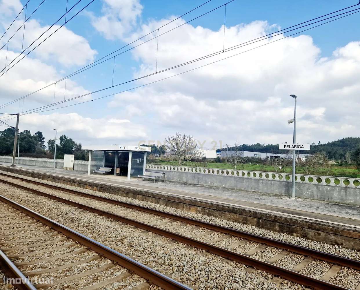 Lote de terreno || Freguesia de Pelariga || Pombal - Grande imagem: 2/13