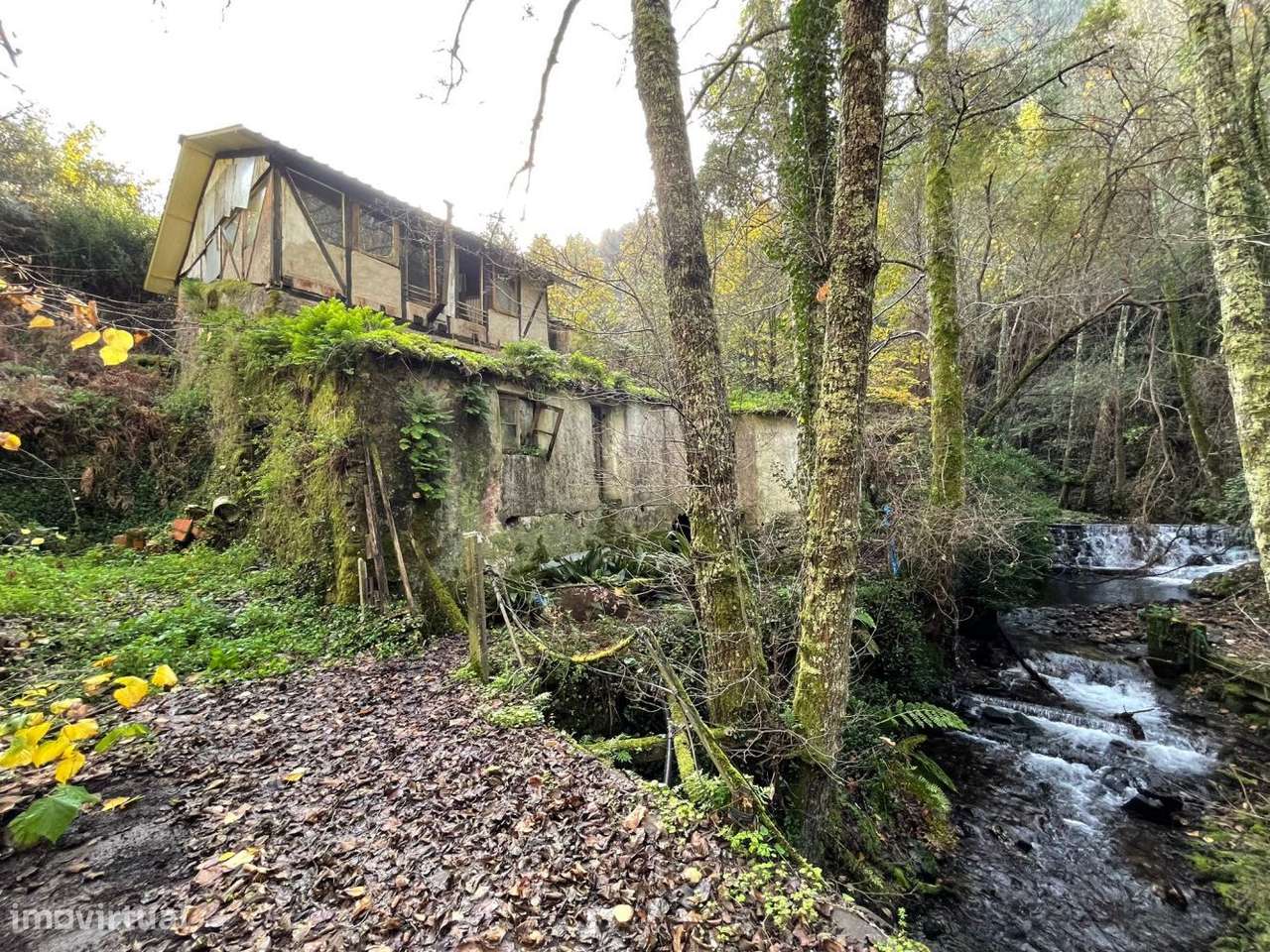 Quinta com casa para recuperar junto a ribeiro - Grande imagem: 4/24