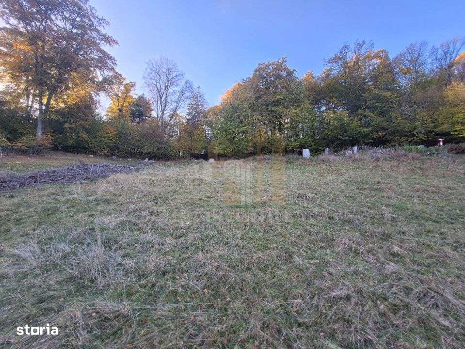 Teren intravilan Brasov Strada Ciresului 2900 mp-5