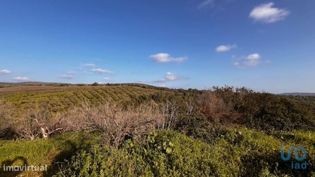 Terreno em Faro de 29810,00 m2