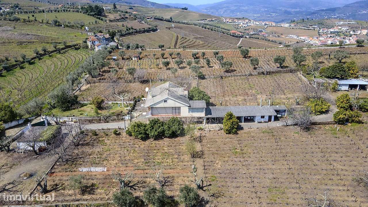 Quinta  para venda - Grande imagem: 5/37