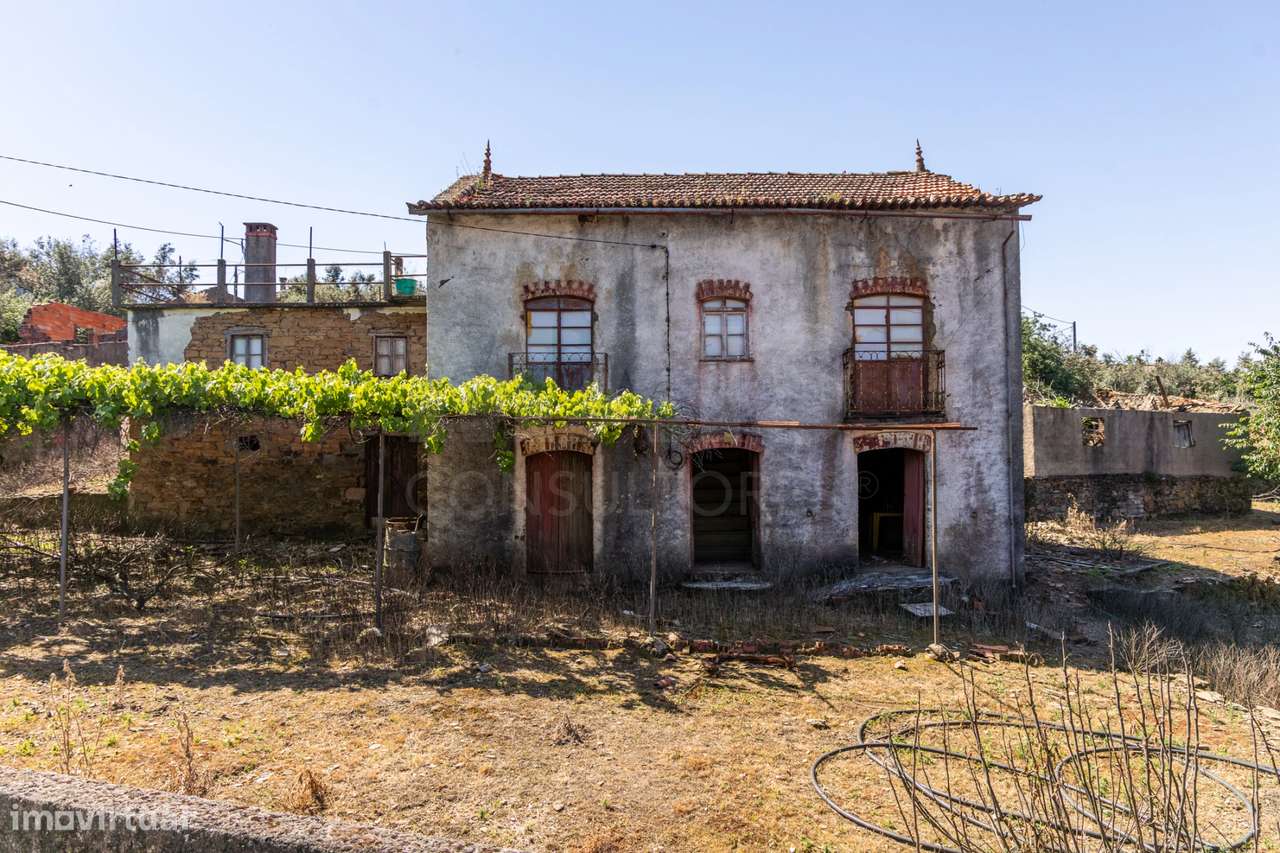 PROPRIEDADE DE CARÁTER NA N2 | 400 m² DE CONSTRUÇÃO, OLIVAL E POTEN...-14