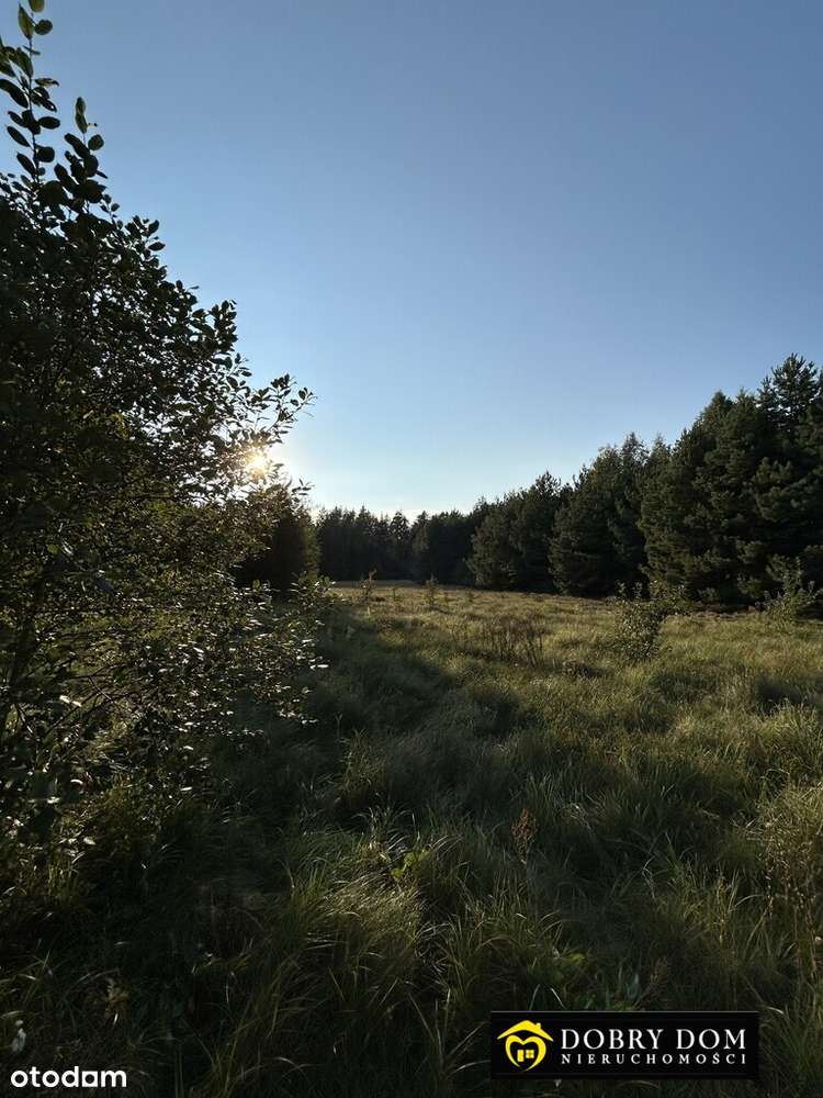 /ODS - Pełny obrazek: 4/4