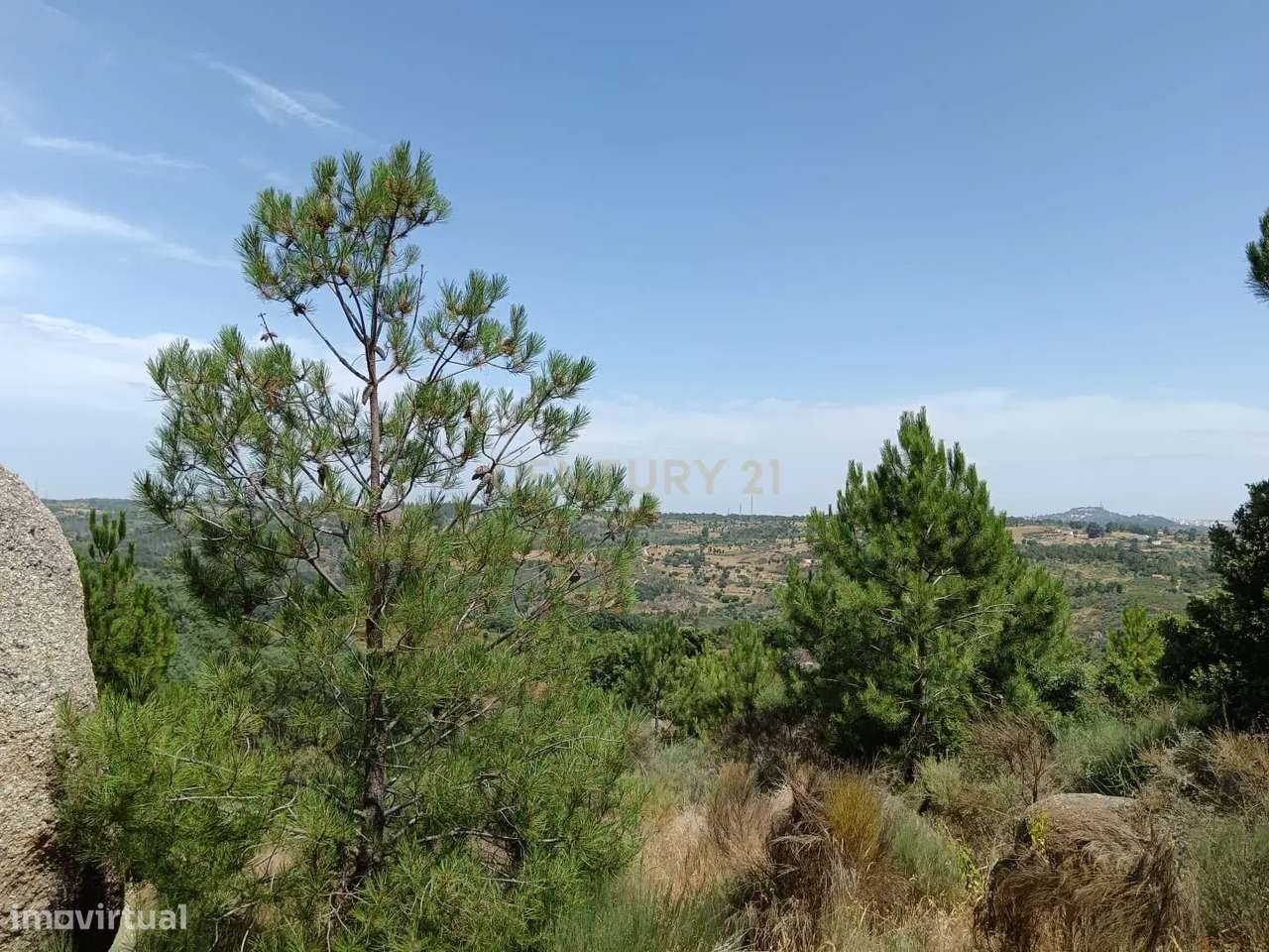 Terreno Rústico com 17200 m2 em Palvarinho, Castelo Branco - Grande imagem: 3/11