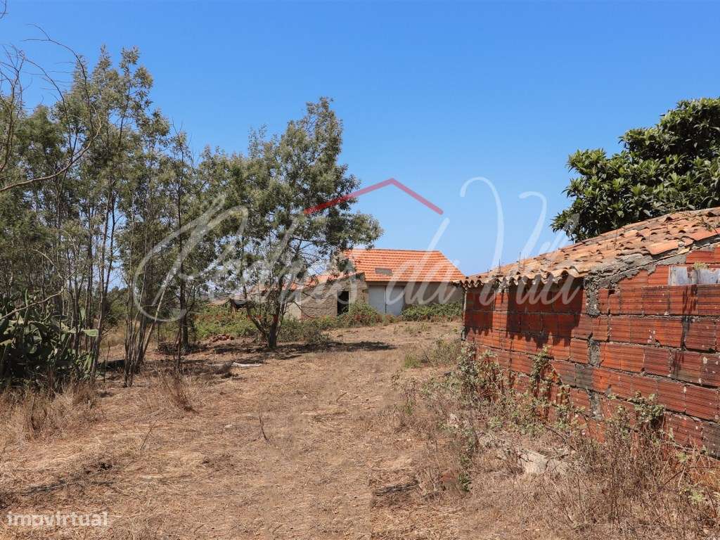 Quinta de 25ha com projeto aprovado - São Teotónio - Odemira-9