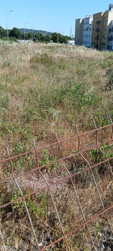 lote para construção - Grande imagem: 2/5