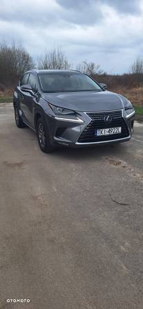 Lexus NX - 21