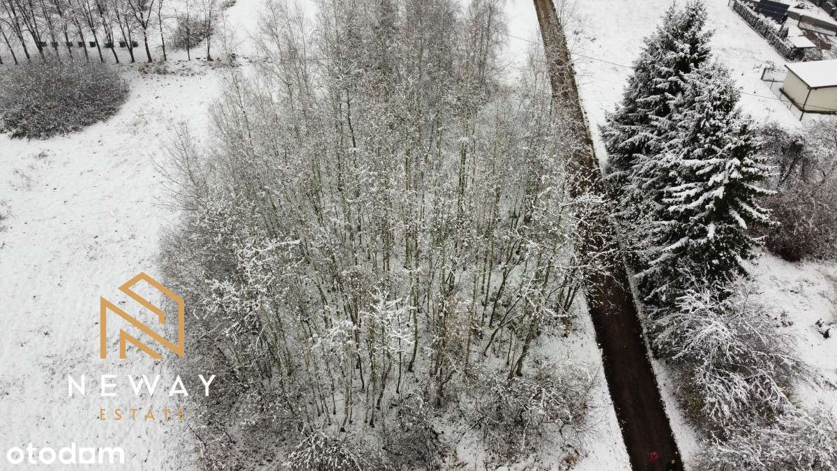 8 ar działka we Włosani - Pełny obrazek: 2/11