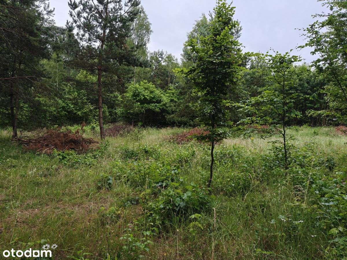 Działka budowlana Parchowski Młyn blisko jeziora.-13