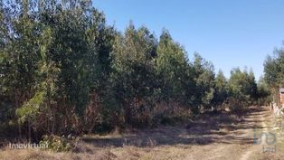 Terreno Agrícola em São Bartolomeu dos Galegos e Moledo de 6200,00 m2 - Grande imagem: 4/6