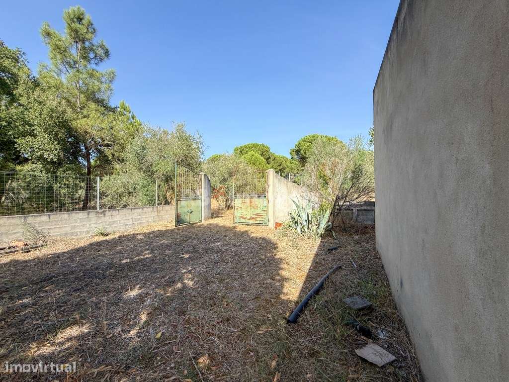 Quintinha no Fojo - Grande imagem: 4/25