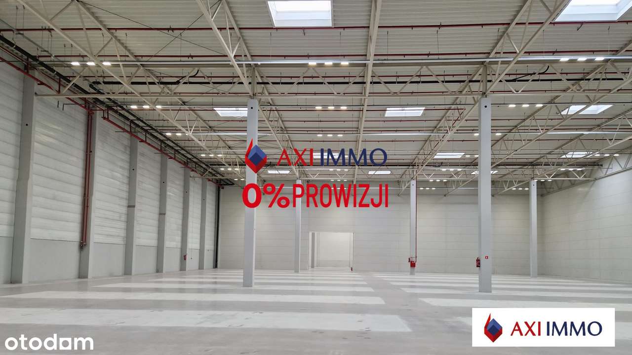 Magazyn 6 000 m2 k. Poznania, Gądki - Pełny obrazek: 4/4