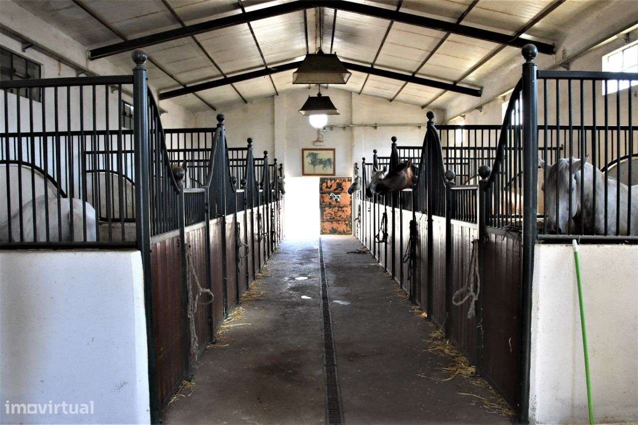 Quinta em Évora com 2,25 ha vocacionada para o mundo equestre-22