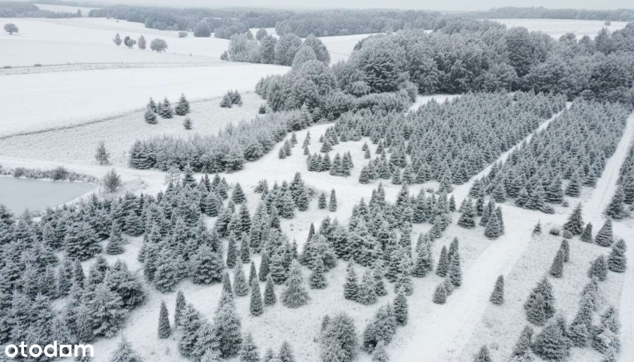 Działka, 61 800 m², Gryfów Śląski-3