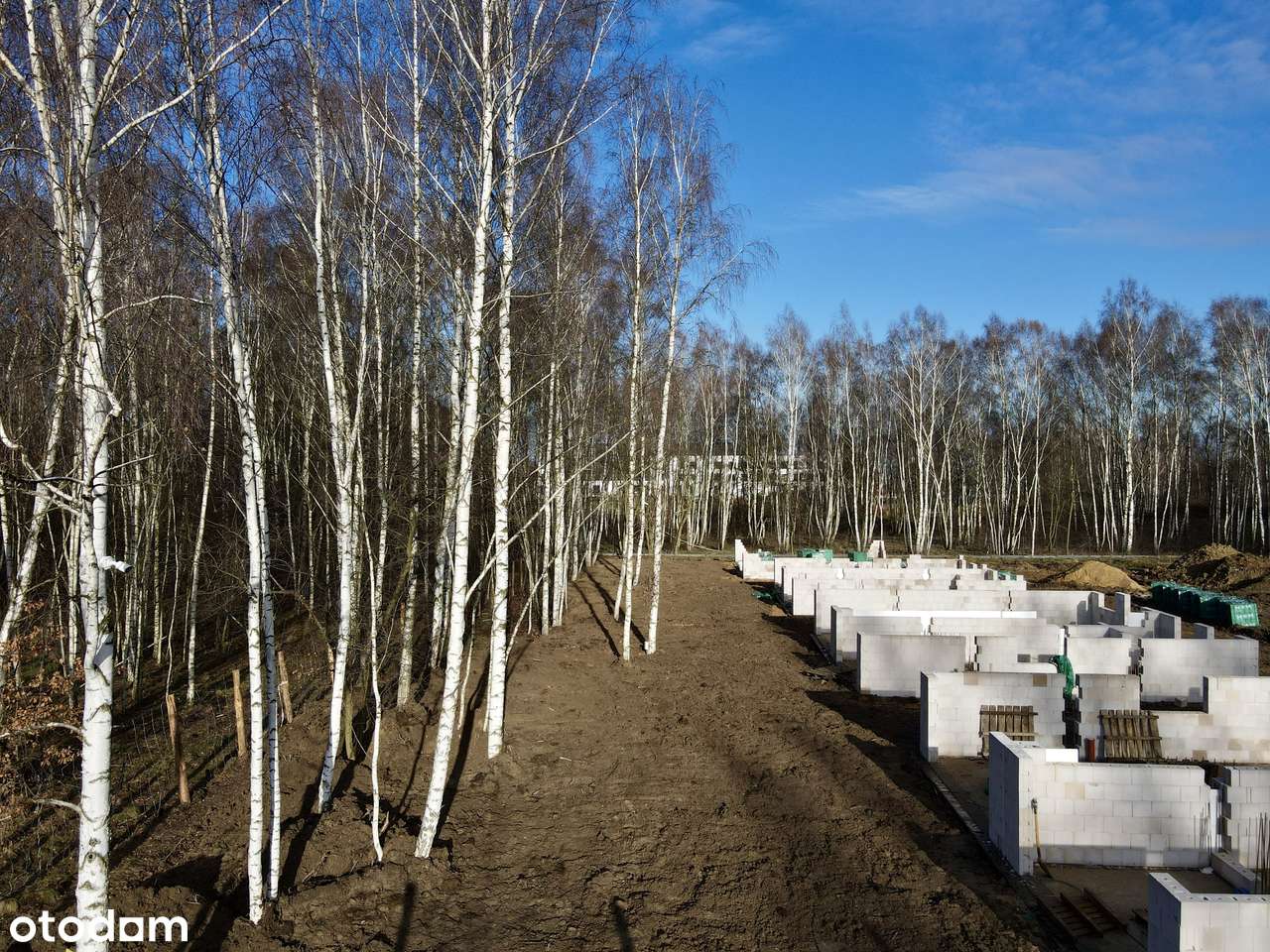 Brzozova Park – nowoczesne domy w lesie brzozowym | już od 590.000 zł-4