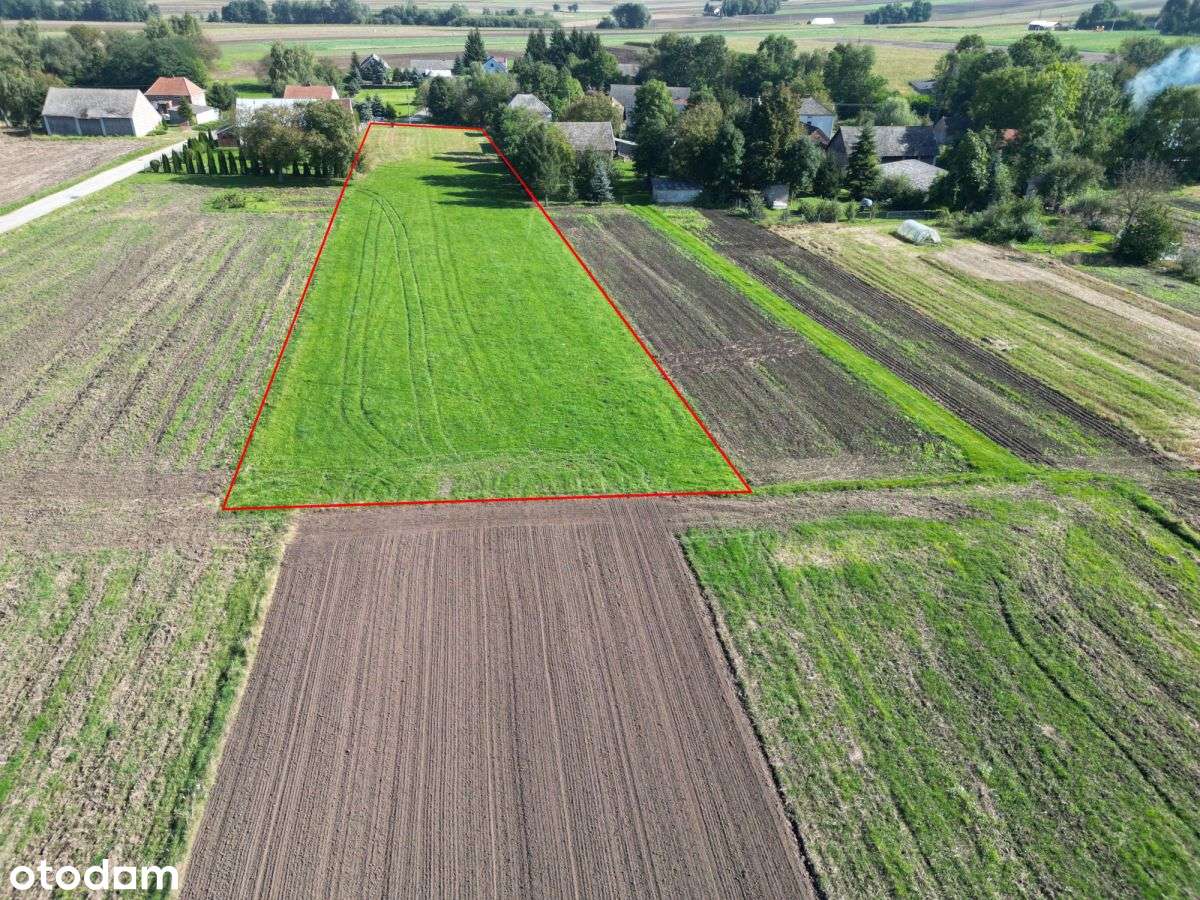 Królewice, 50 km od Krakowa, działka pod zabudowę - Pełny obrazek: 4/8