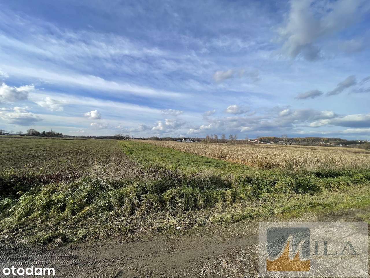 Dąbrowa Szlachecka działka budowlana 31 ar przy jeziorku-6