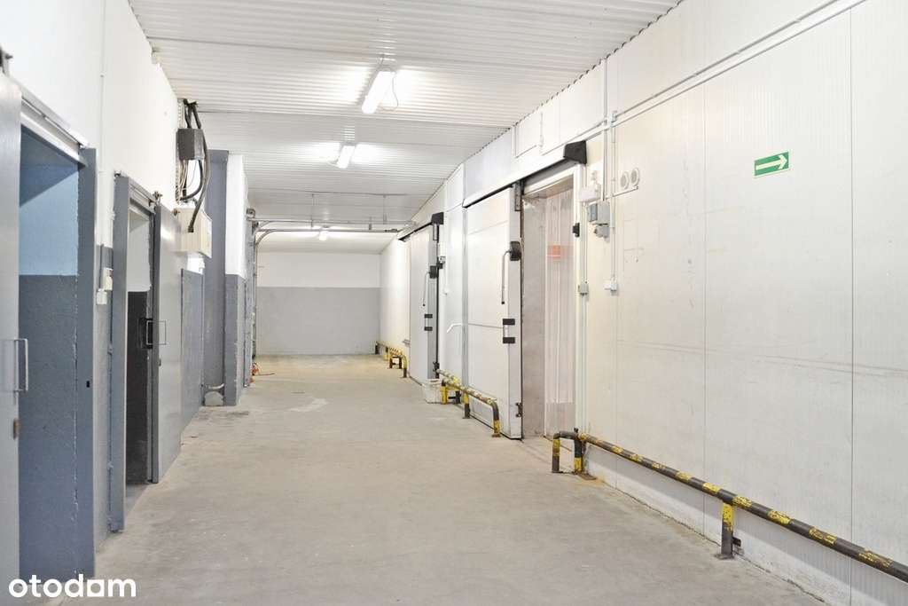 Magazyn chłodnia z biurem i dużym placem. - Pełny obrazek: 5/12