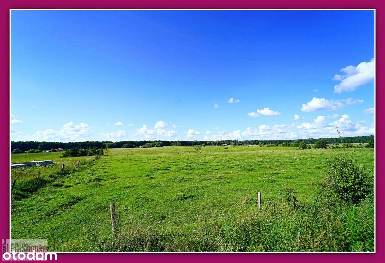 Działka 1999 m2* zarybiony staw* jezioro i plaża-14