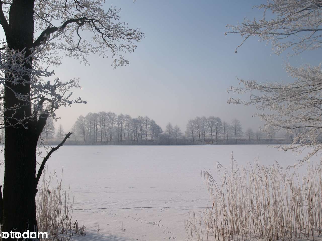 Wyjątkowe siedlisko z domem | Laseczno Małe| Cisza • Natura • Komfort-8