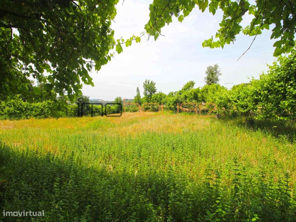 Quinta do séc. 18 - Amarante-38