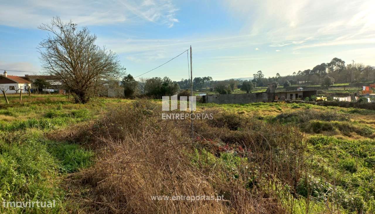 Venda de Terreno, Serreleis, Viana do Castelo - Grande imagem: 5/28