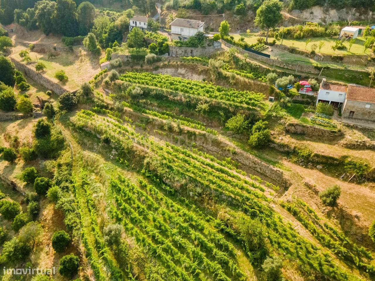 Quinta com Vista Deslumbrante sobre o Rio Douro – Projeto Aprovado par-6