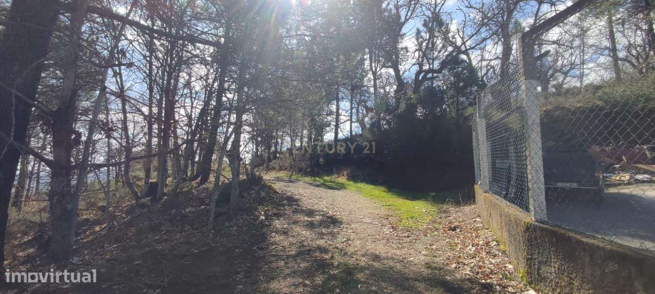 Terreno com possibilidade para construção de um armazém - Grande imagem: 2/12