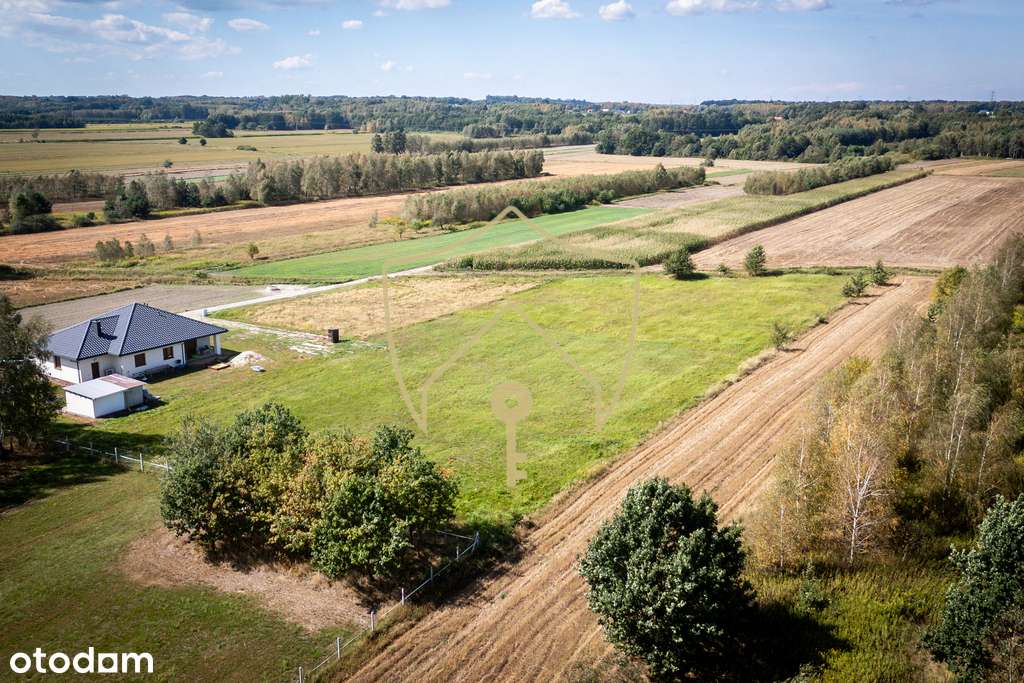 Działki w otoczeniu lasu - Pełny obrazek: 4/7