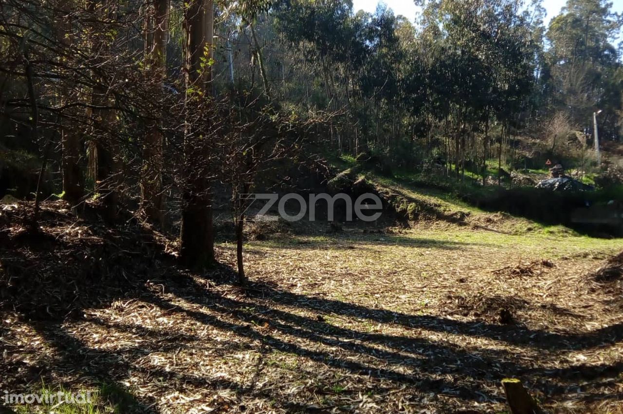 Terreno Urbano em Forjães, Esposende