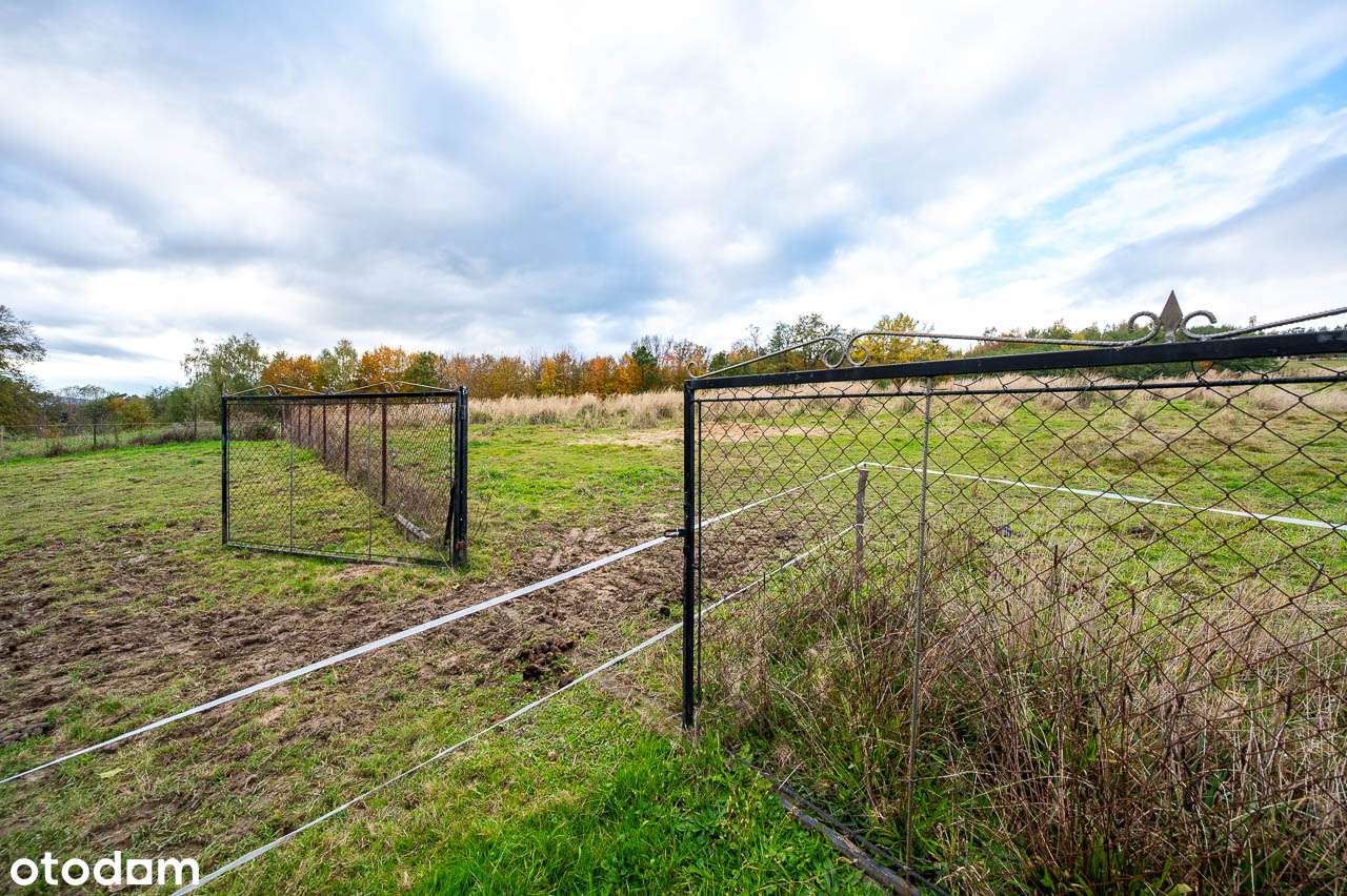 Dom wraz z działką budowlaną na Zalesiu-10