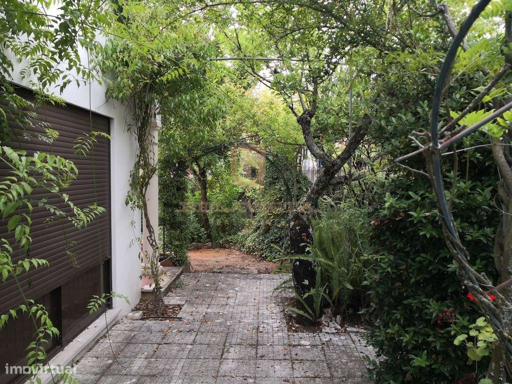 Oportunidade moradia charmosa T3 com lindo jardim - Ourém - Grande imagem: 3/21